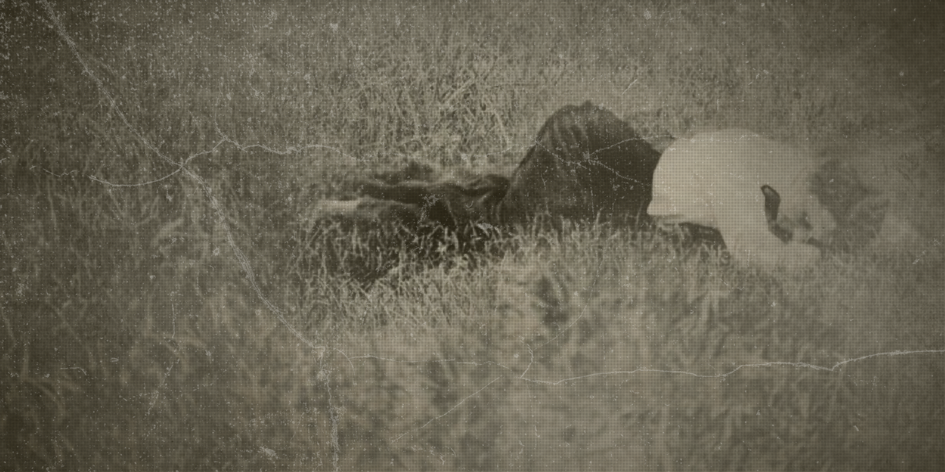 The Shocking Murder of Elizabeth Ann Holt (1890)