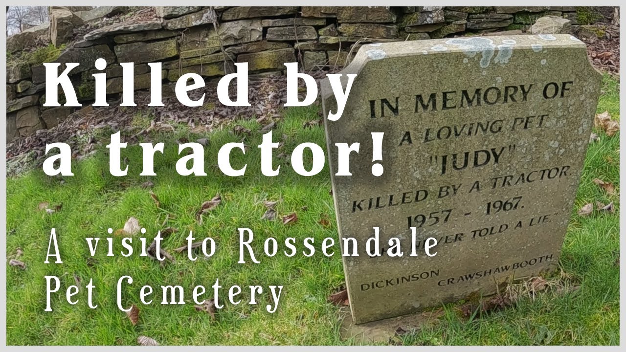 It all started with a dog! A visit to Rossendale Pet Cemetery / Crawshawbooth