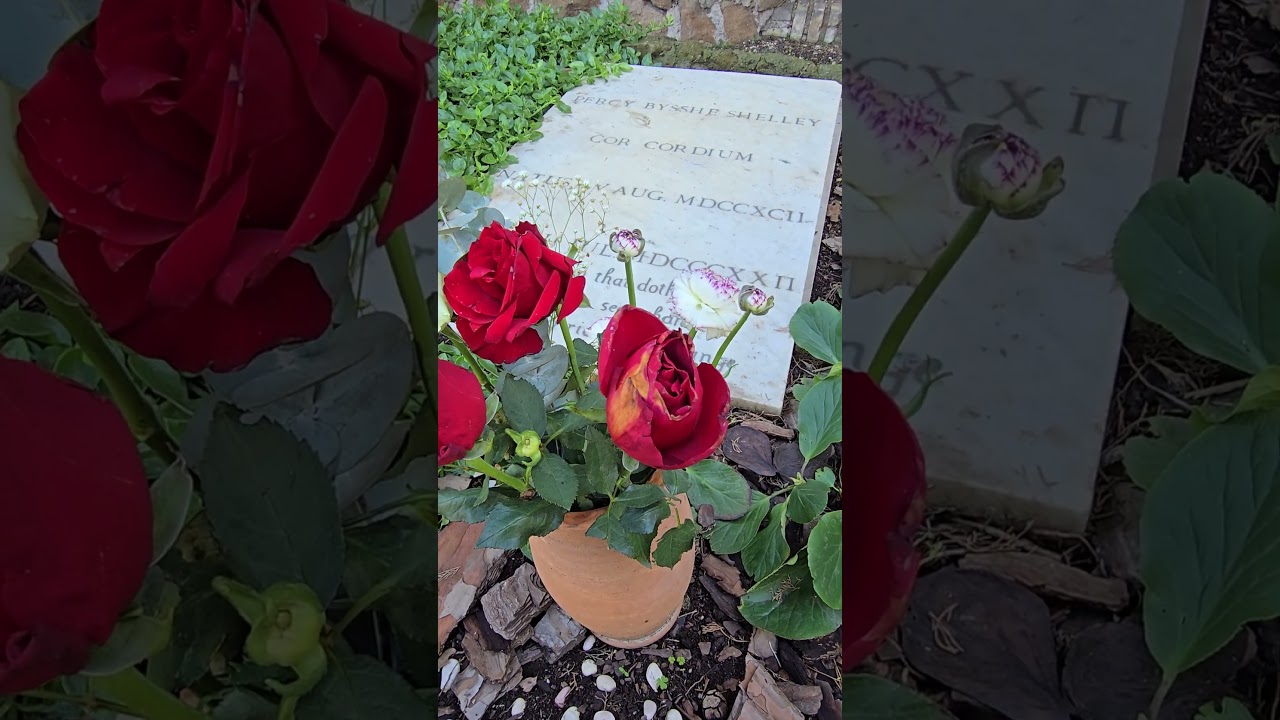 The Grave of Percy Bysshe Shelley #poetry #shorts #rome