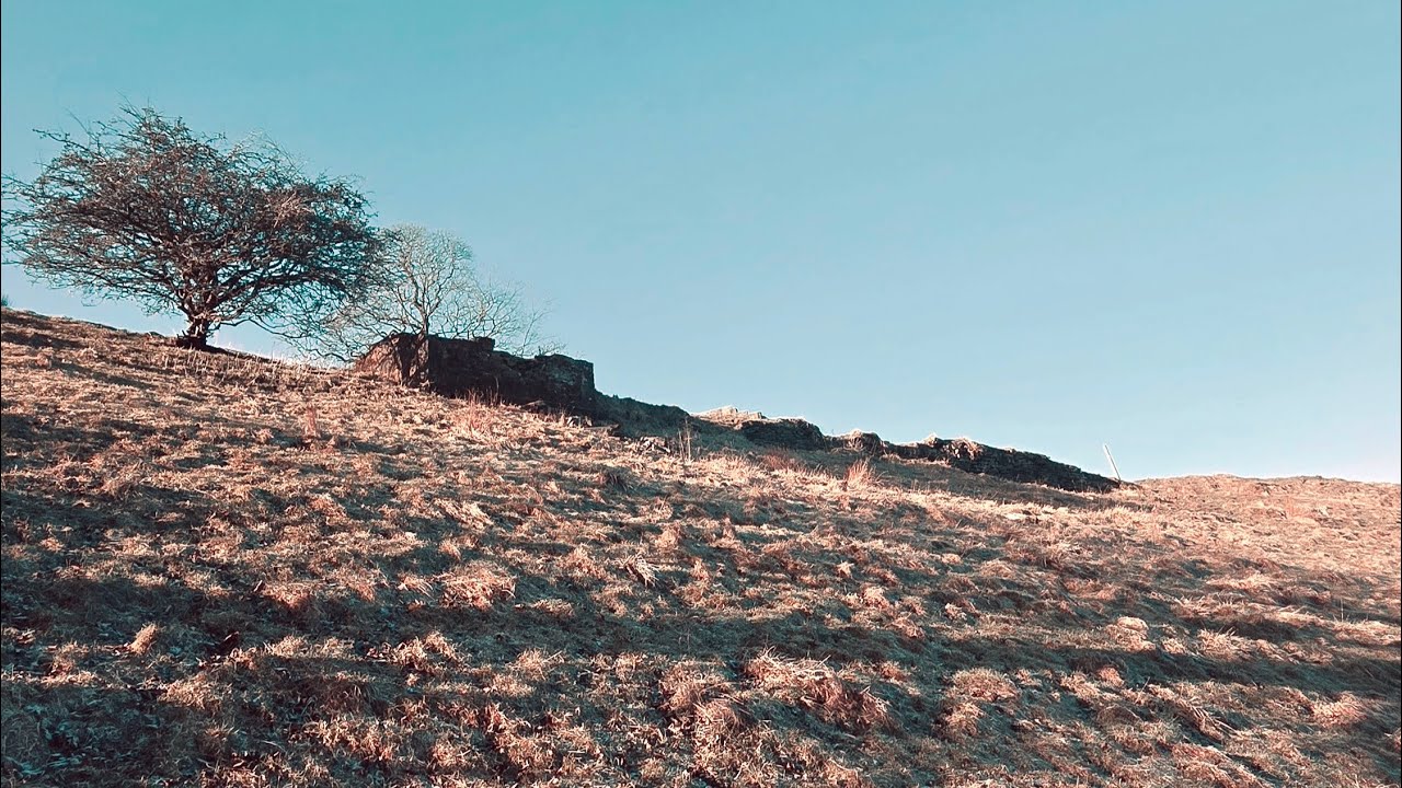 A Moment of Light in a Dark Place