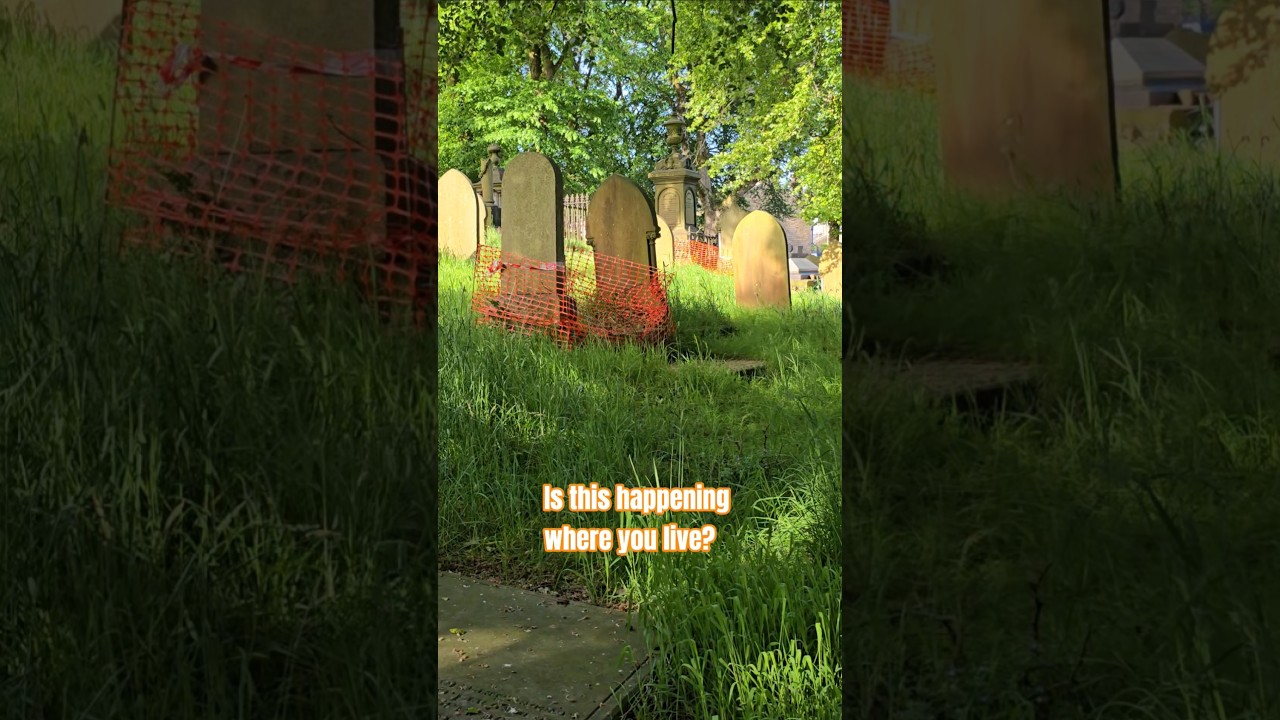 Graveyard Safety … #shorts #safety #uk